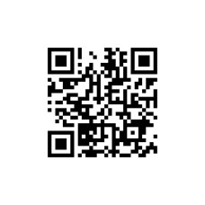 Комплект мобільних ідентифікаторів (QR-кодів)  Bas-IP UKEY 10 одиниць