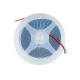 Світлодіодна стрічка Lightwell 5050 120LED 12V 4000k 10mm White 5 метрів